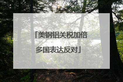 美钢铝关税加倍 多国表达反对