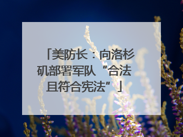 美防长：向洛杉矶部署军队“合法且符合宪法”