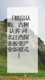 精品认购、古树认养 河北迁西探索板栗产业新模式