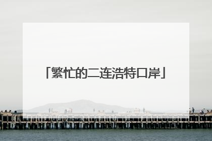 繁忙的二连浩特口岸