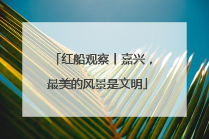 红船观察丨嘉兴，最美的风景是文明