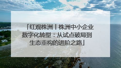 红观株洲丨株洲中小企业数字化转型：从试点破局到生态重构的进阶之路