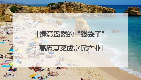 绿意盎然的“钱袋子”：高原夏菜成富民产业