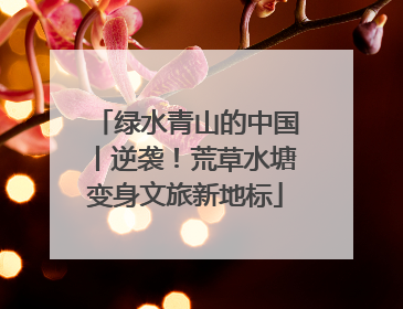 绿水青山的中国丨逆袭！荒草水塘变身文旅新地标