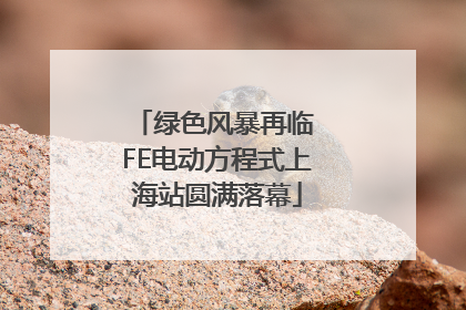 绿色风暴再临 FE电动方程式上海站圆满落幕