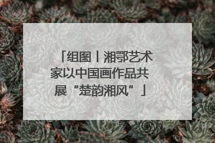 组图丨湘鄂艺术家以中国画作品共展“楚韵湘风”