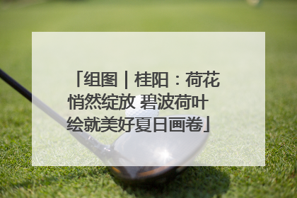 组图｜桂阳：荷花悄然绽放 碧波荷叶绘就美好夏日画卷