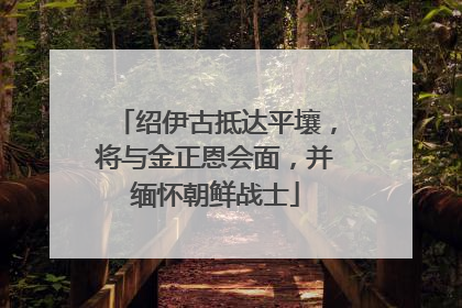 绍伊古抵达平壤，将与金正恩会面，并缅怀朝鲜战士