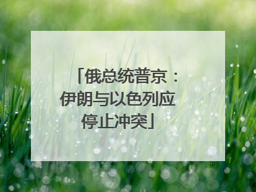 俄总统普京：伊朗与以色列应停止冲突