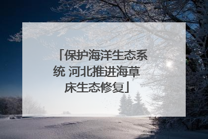 保护海洋生态系统 河北推进海草床生态修复