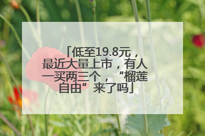 低至19.8元，最近大量上市，有人一买两三个，“榴莲自由”来了吗