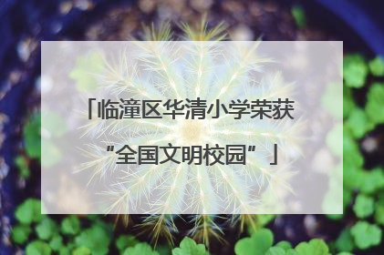 临潼区华清小学荣获“全国文明校园”