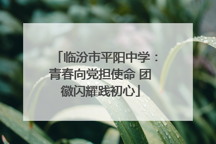临汾市平阳中学：青春向党担使命 团徽闪耀践初心