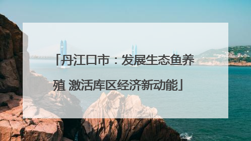 丹江口市：发展生态鱼养殖 激活库区经济新动能