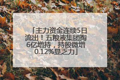 主力资金连续5日流出！五粮液集团掏6亿增持，持股微增0.12%显乏力