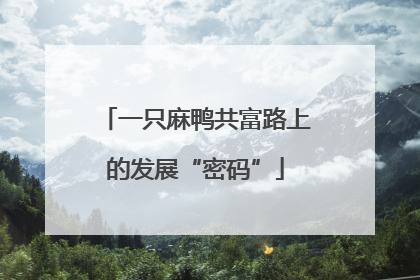 一只麻鸭共富路上的发展“密码”