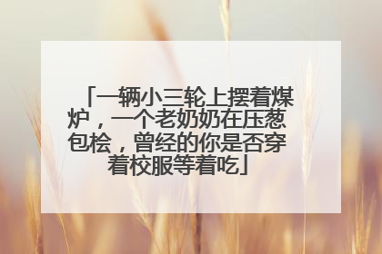 一辆小三轮上摆着煤炉，一个老奶奶在压葱包桧，曾经的你是否穿着校服等着吃