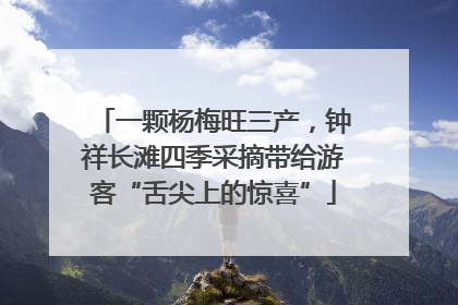 一颗杨梅旺三产，钟祥长滩四季采摘带给游客“舌尖上的惊喜”