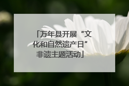 万年县开展“文化和自然遗产日”非遗主题活动
