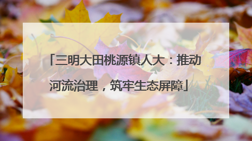 三明大田桃源镇人大：推动河流治理，筑牢生态屏障