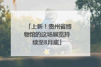 上新！贵州省博物馆的这场展览持续至8月底
