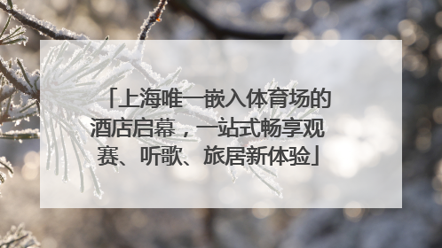 上海唯一嵌入体育场的酒店启幕，一站式畅享观赛、听歌、旅居新体验