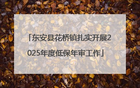 东安县花桥镇扎实开展2025年度低保年审工作