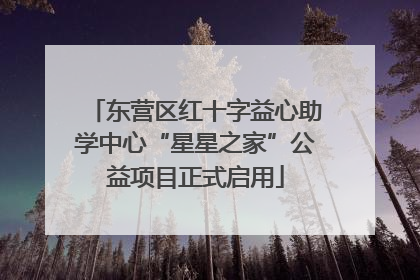 东营区红十字益心助学中心“星星之家”公益项目正式启用