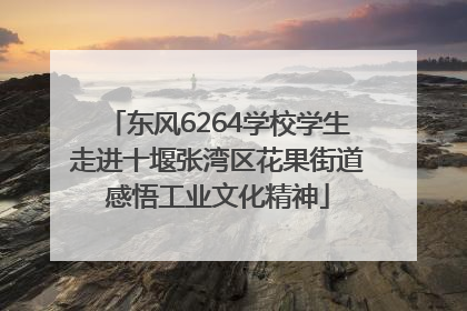 东风6264学校学生走进十堰张湾区花果街道感悟工业文化精神