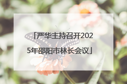 严华主持召开2025年邵阳市林长会议