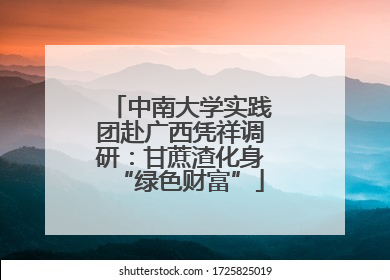 中南大学实践团赴广西凭祥调研：甘蔗渣化身“绿色财富”