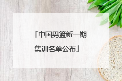 中国男篮新一期集训名单公布