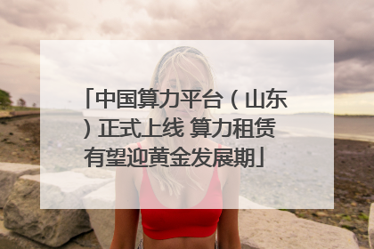 中国算力平台（山东）正式上线 算力租赁有望迎黄金发展期