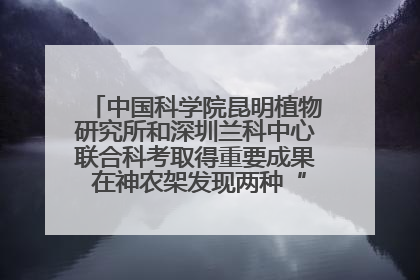 中国科学院昆明植物研究所和深圳兰科中心联合科考取得重要成果 在神农架发现两种“国保”级兰花