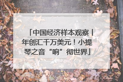 中国经济样本观察丨年创汇千万美元！小提琴之音“响”彻世界