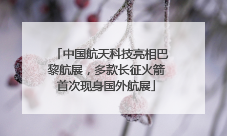 中国航天科技亮相巴黎航展，多款长征火箭首次现身国外航展