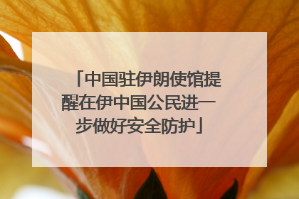 中国驻伊朗使馆提醒在伊中国公民进一步做好安全防护