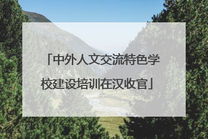 中外人文交流特色学校建设培训在汉收官