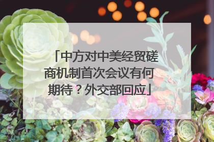 中方对中美经贸磋商机制首次会议有何期待？外交部回应