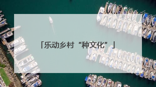 乐动乡村“种文化”