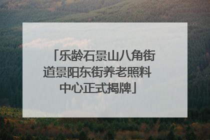 乐龄石景山八角街道景阳东街养老照料中心正式揭牌