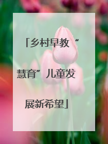 乡村早教“慧育”儿童发展新希望