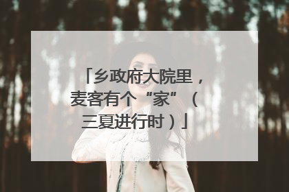 乡政府大院里，麦客有个“家”（三夏进行时）