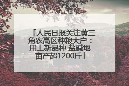 人民日报关注黄三角农高区种粮大户：用上新品种 盐碱地亩产超1200斤