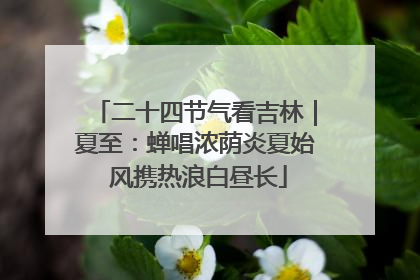 二十四节气看吉林｜夏至：蝉唱浓荫炎夏始 风携热浪白昼长