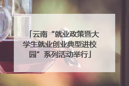 云南“就业政策暨大学生就业创业典型进校园”系列活动举行