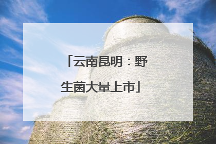 云南昆明：野生菌大量上市