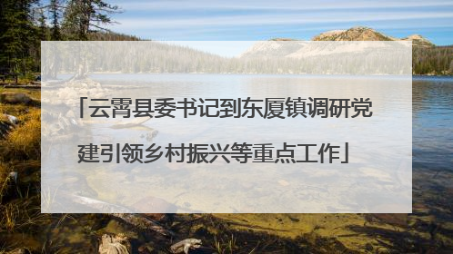云霄县委书记到东厦镇调研党建引领乡村振兴等重点工作