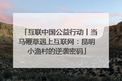 互联中国公益行动丨当马鞭草遇上互联网：昆明小渔村的逆袭密码