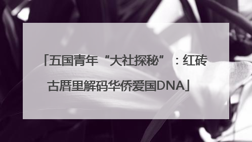 五国青年“大社探秘”：红砖古厝里解码华侨爱国DNA